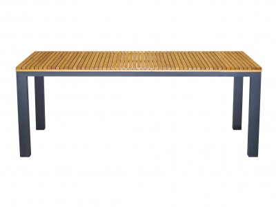 Rupert table 200x100